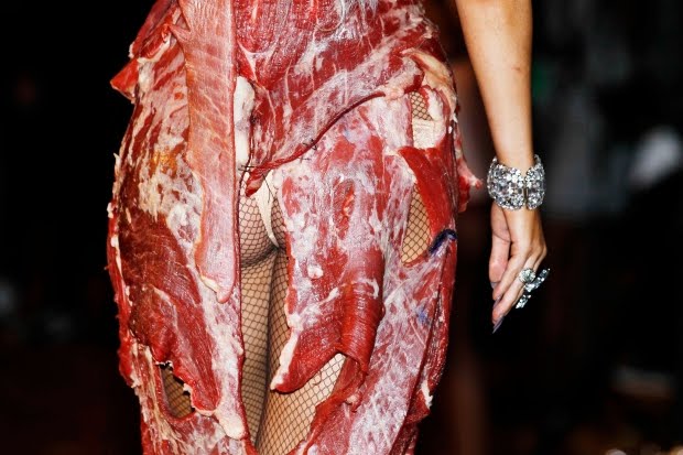 lady gaga meat dress real meat. Do you think it#39;s real meat?
