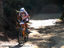 TORNAR A ÍNDEX FOTOS