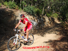 TORNAR AL INDEX DE FOTOS