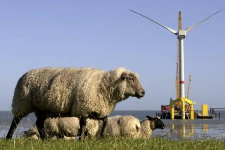 [windpark3_HA_Politi_178320c.jpg]