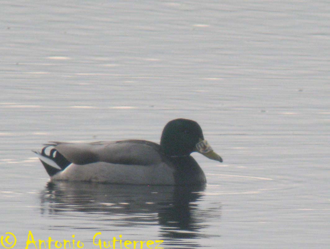 [IMG_6676+copia.jpg]