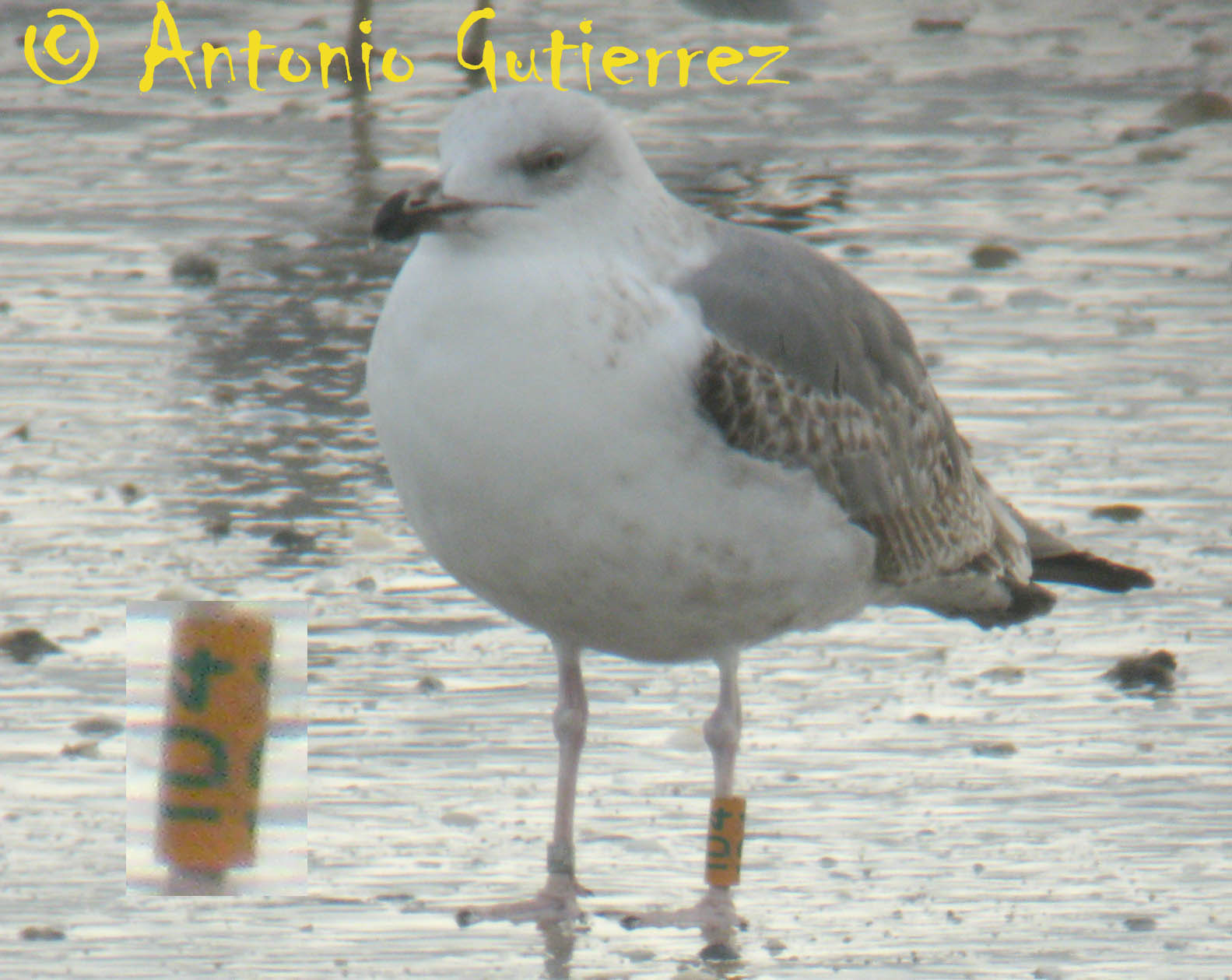 [IMG_2553_copia.jpg]