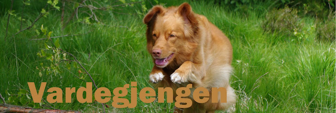 Vardegjengen