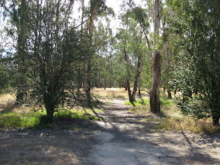 Melbourne Park Walk: Sweeneys Flats to Griffith Park - Eltham - Victoria