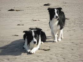 2008 - Snoop 5 years old & Dre nearly 2 years old