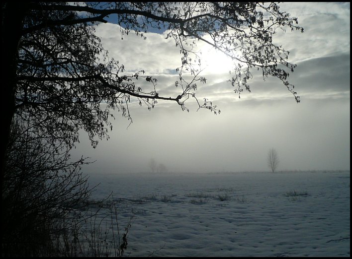Heideort Steinhorst Niedersachsen Tag Der Offenen Tur Im Rathaus