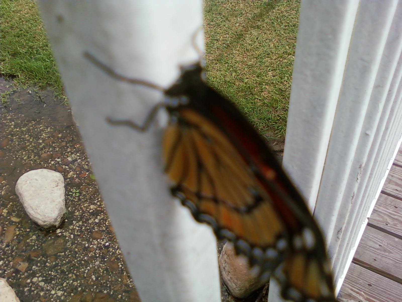 [SSPX0332-738570.jpg]