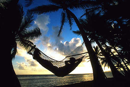 [hammock-703712.jpg]