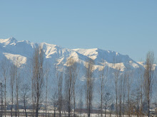 Dalle Langhe alle Alpi