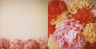 carnations and peonies