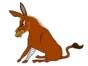 [burro.bmp]