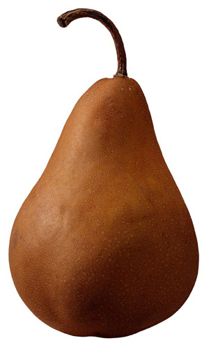 [pear.jpg]