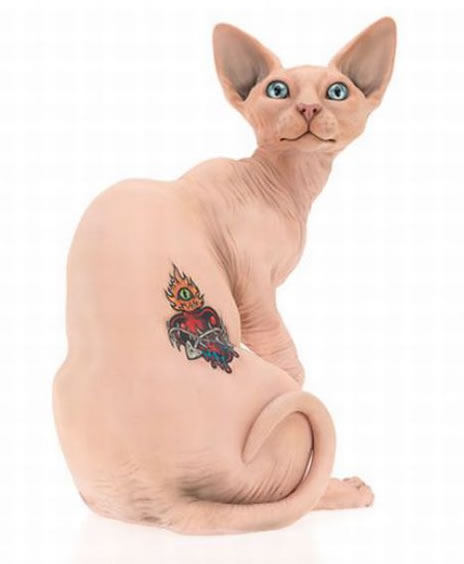 Tattoos Of Cats