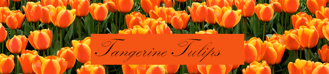 Tangerine Tulips