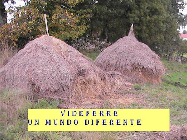 VIDEFERRE