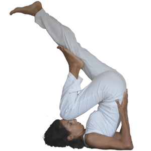 [variantedafoice.gif]