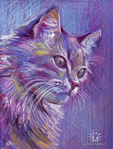 Oil Pastel Cat