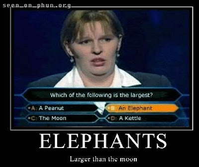 Elephants... are bigger than the moon!