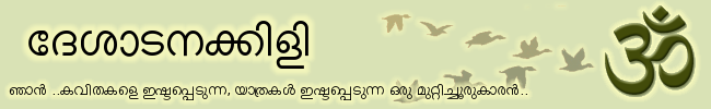 ദേശാടനക്കിളി ...ഒരിടത്ത് നിന്ന് മറ്റൊരിടത്തേക്ക് ..