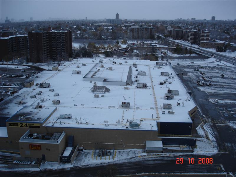 [DSC06240+(Medium).JPG]