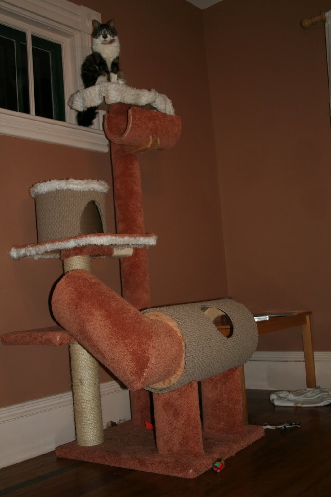 Cool Cat Tree