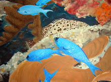 Yellowfin Grouper