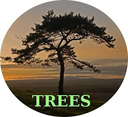Trees non-profit