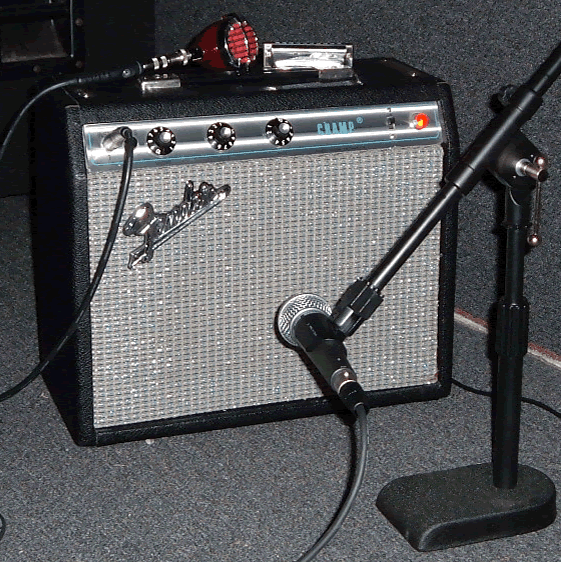 Blues Harp Amps Champ and 5F2H Amps