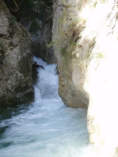 [P1280173.JPG]