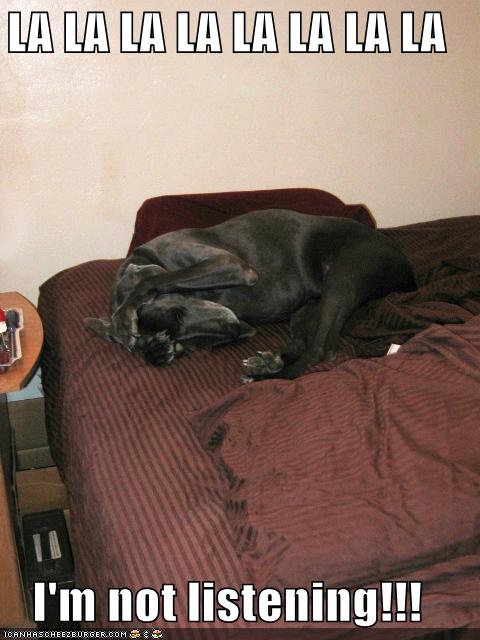 [lalalalalal128619326596992453.jpg]