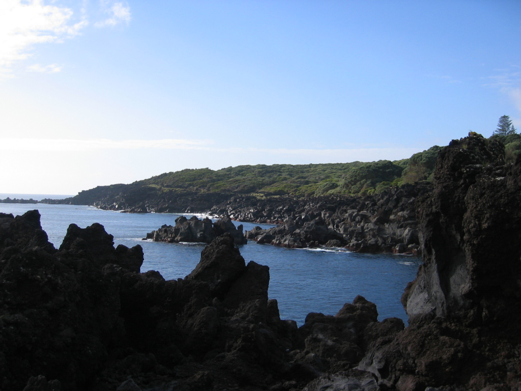 [IMG_0104.JPG]