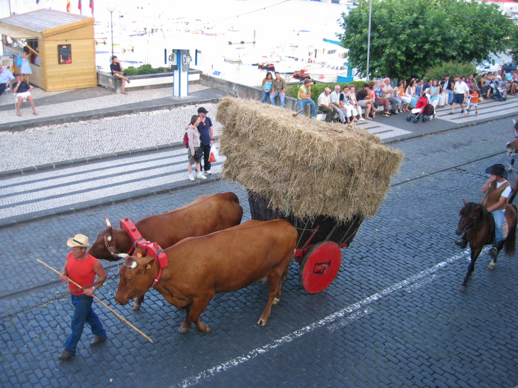 [IMG_0926.JPG]