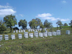 YALÇIN ARICILIK BAL TİCARETİ