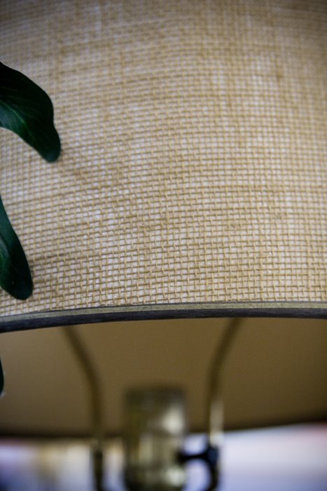 [LampShade.jpg]