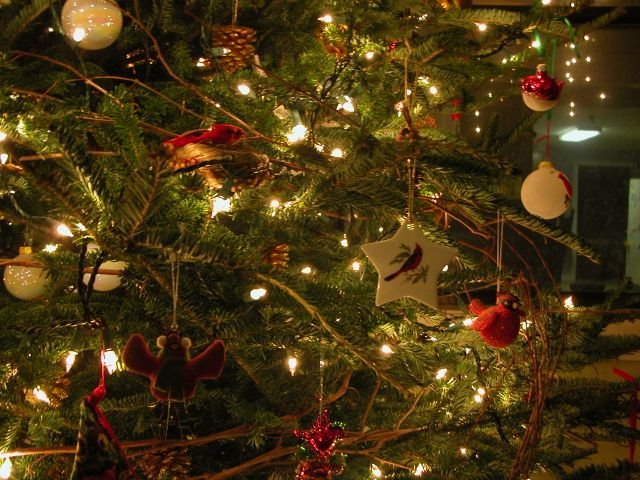 [Tree+Decorations.bmp]