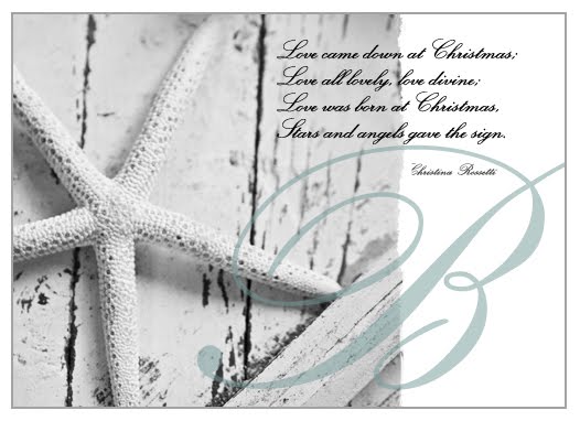 [STARFISH_CHRISTMAS_web.jpg]