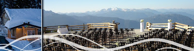Whistler Wedding