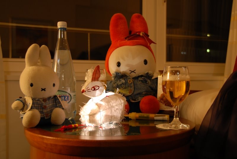 [festival_lantern_01.jpg]