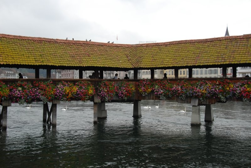 [luzern.jpg]