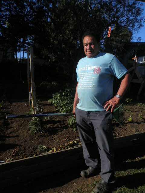 a vegetable garden or two