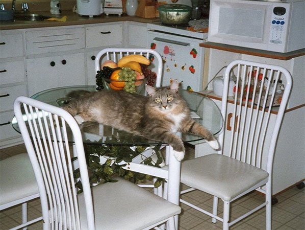 Rudolph in Reno's land.: noviembre 2010