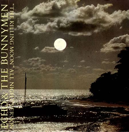 Download Free Echo And The Bunnymen Porcupine Rar File