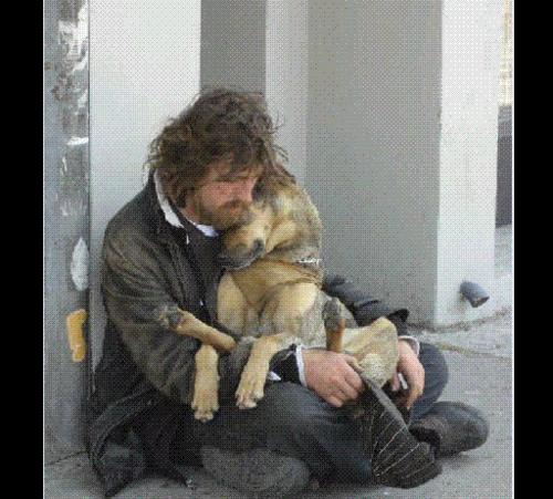 [Imagem: o+melhor+amigo+6.jpg]