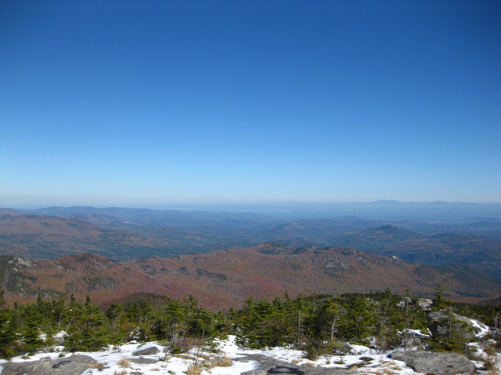 [IMG_5365.JPG]