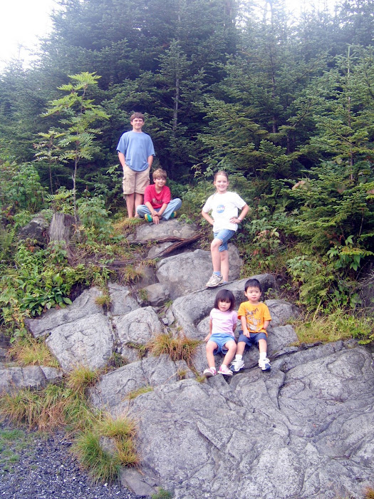 On the way Up Clingman's Dome