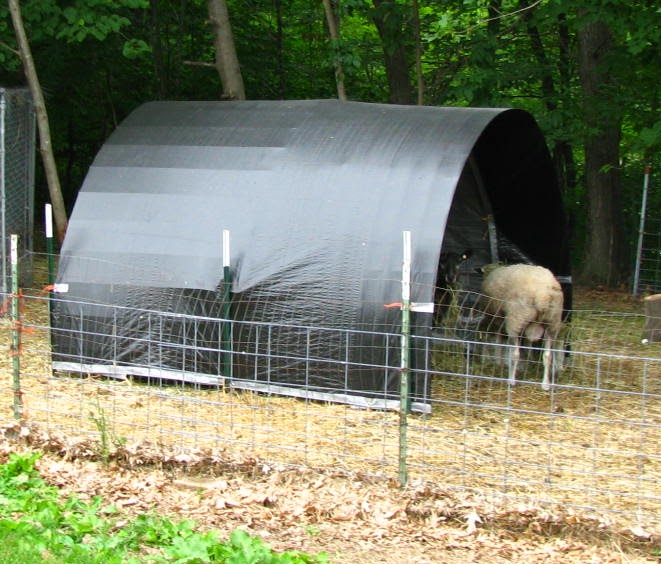 River Oaks Farm & Studio Cattle Panel & TPost Sheep Shelters