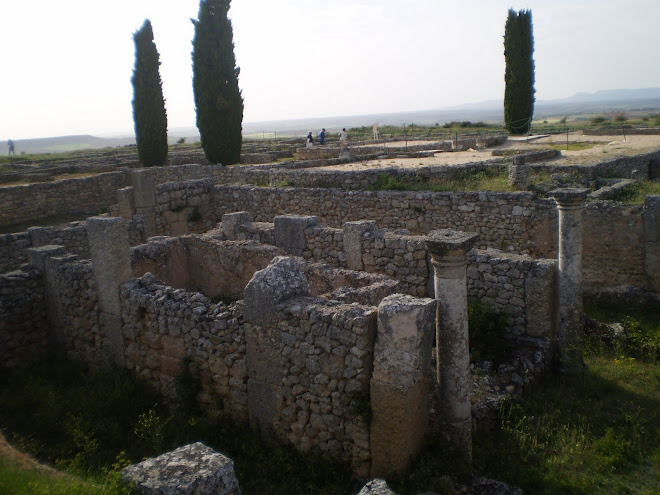 Ciudad Romana de Clunia