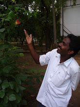 My Photo