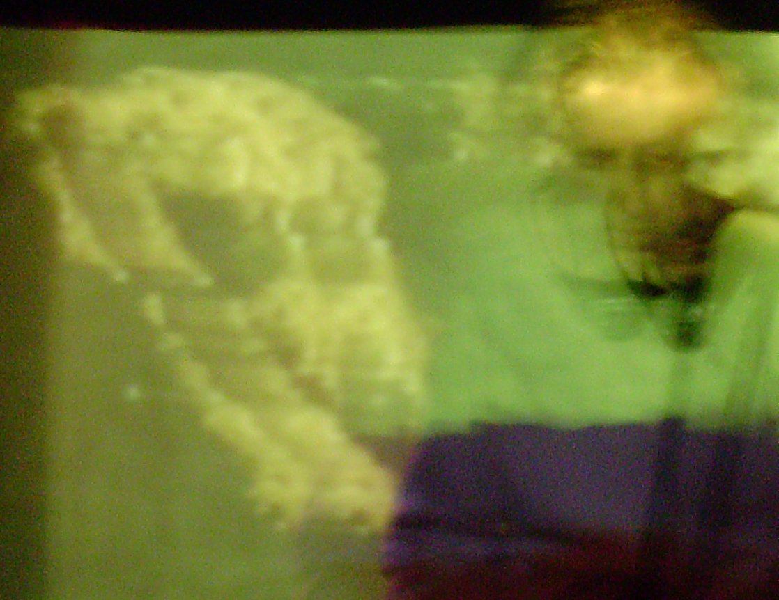 [aRIMG0026.JPG]