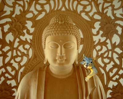 buddha squirrel